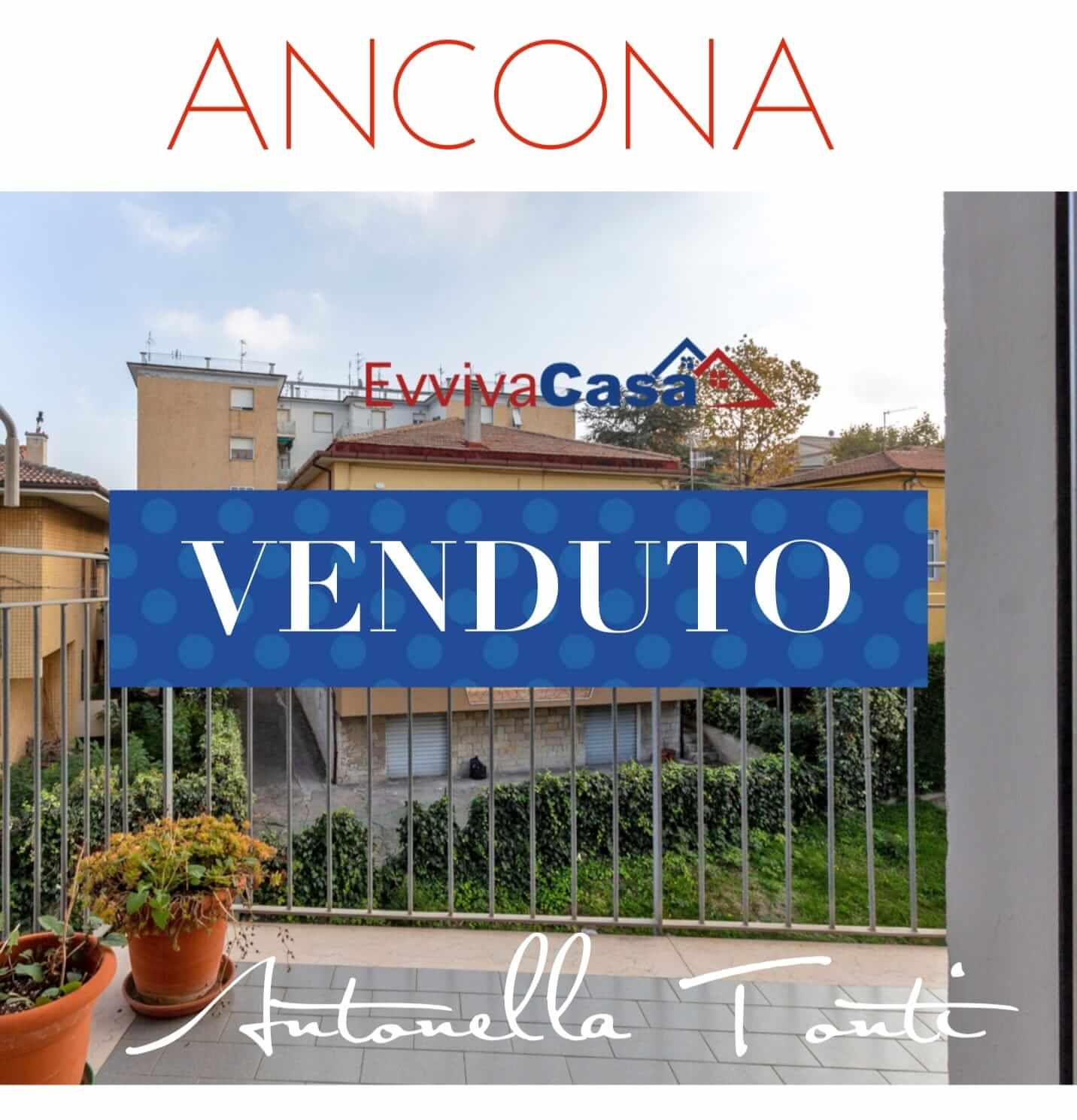 antonella-tonti-vendita- (10)