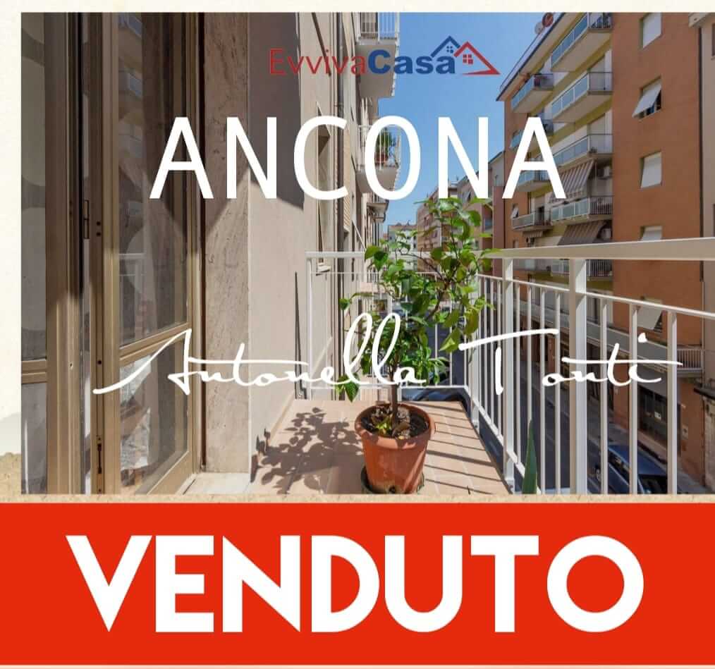 antonella-tonti-venduto (2)